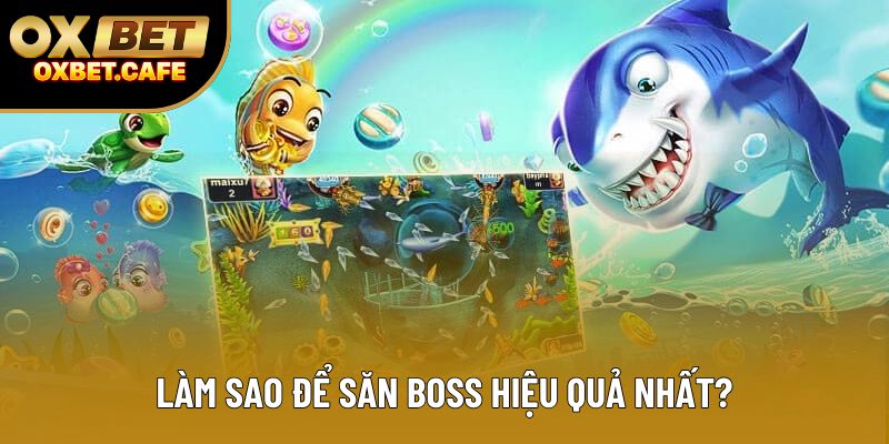 Làm sao để săn boss hiệu quả nhất?