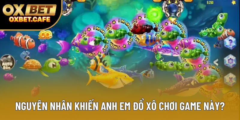 Nguyên nhân khiến anh em đổ xô chơi game này?